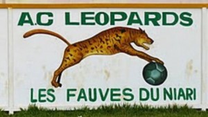 AC LEOPARDS ILLUSTRATION 080412 300x169 1