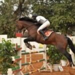 IVORY COAST: 2ND DAY OF THE EQUESTRIAN CHAMPIONSHIP
