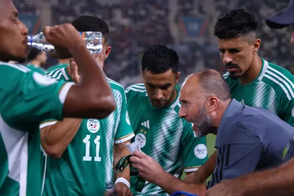 From World Cup aspirations to losing it all: Jamel Belmadi's unfortunate journey