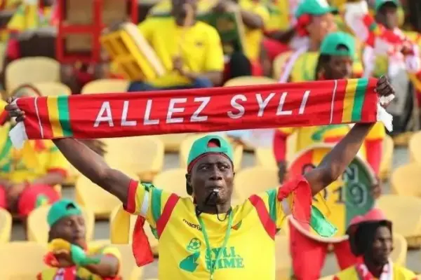 AFCON 2023 – Group C: Cameroon falls short in supporter showdown against Guinea