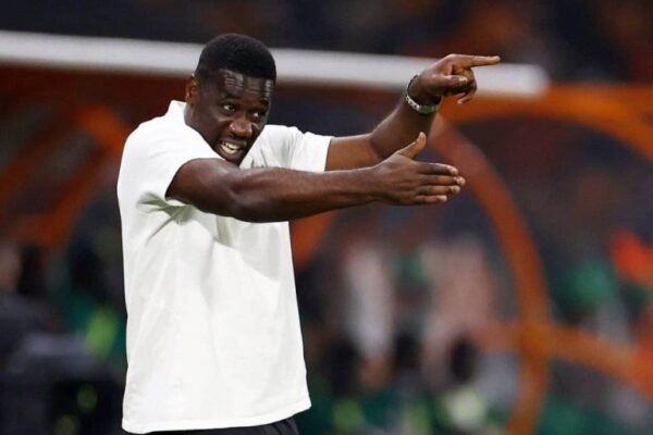 Ivory Coast: Emerse Faé, the man behind the Elephants’ victory against Senegal