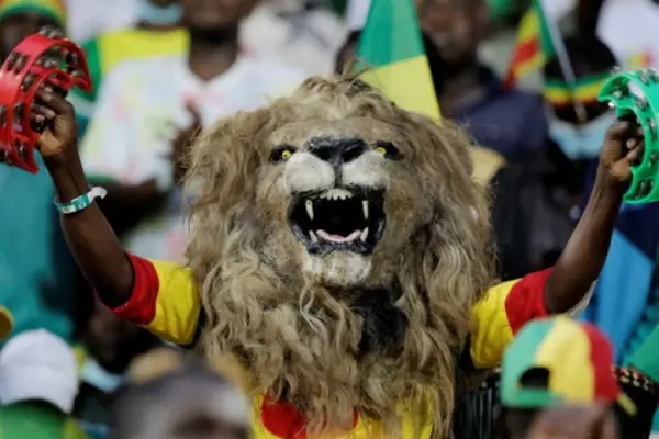 Unveiling the emblematic nicknames of the 24 African teams