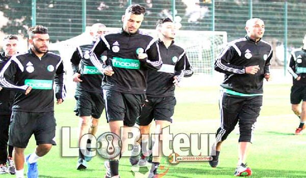 Algerian football federation faces criticism over handling of Djamel Belmadi's departure