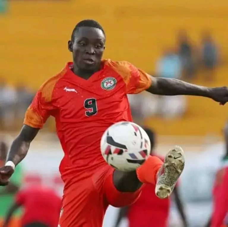 Niger Football Federation rescinds suspension, Victorien Adebayor set for Mena Return