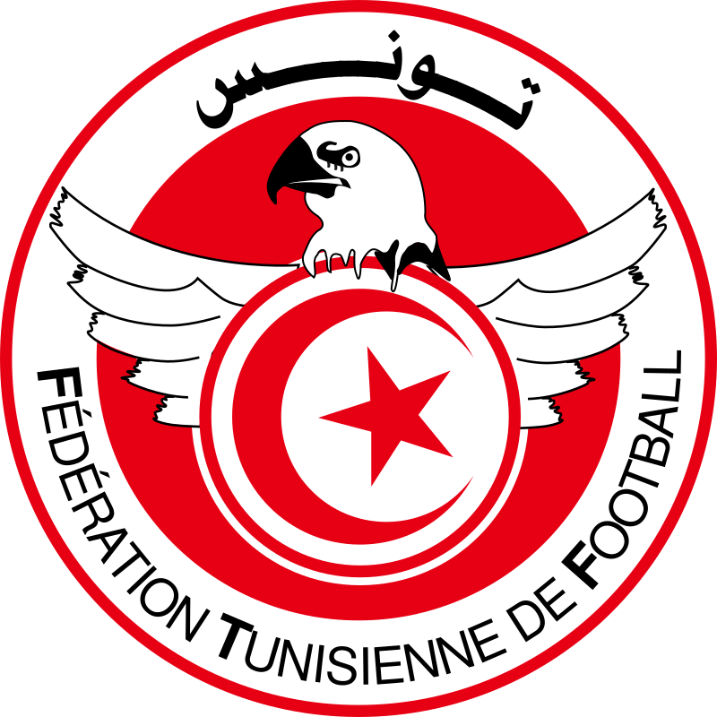 New developments regarding Tunisian football federation elections
