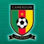 Algerian national team star sideline due to injury at Olympique Lyonnais
