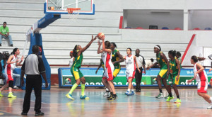 Afro Basket Dame 300x165 1