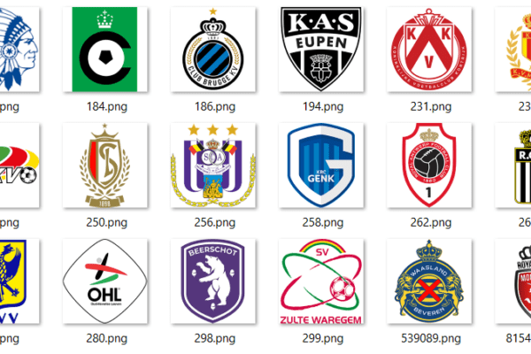 Belgian League spokesperson explains proposed benefits of new Egyptian League system