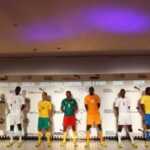CHAN 2014: AFTER THE STRUGGLE, THE LEOPARDS DETERMINED TO HONOR THE DRC