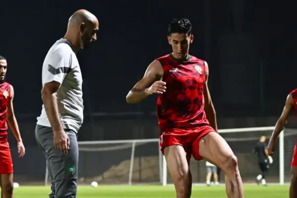 More than a third of the "Atlas Lions" lack competitiveness