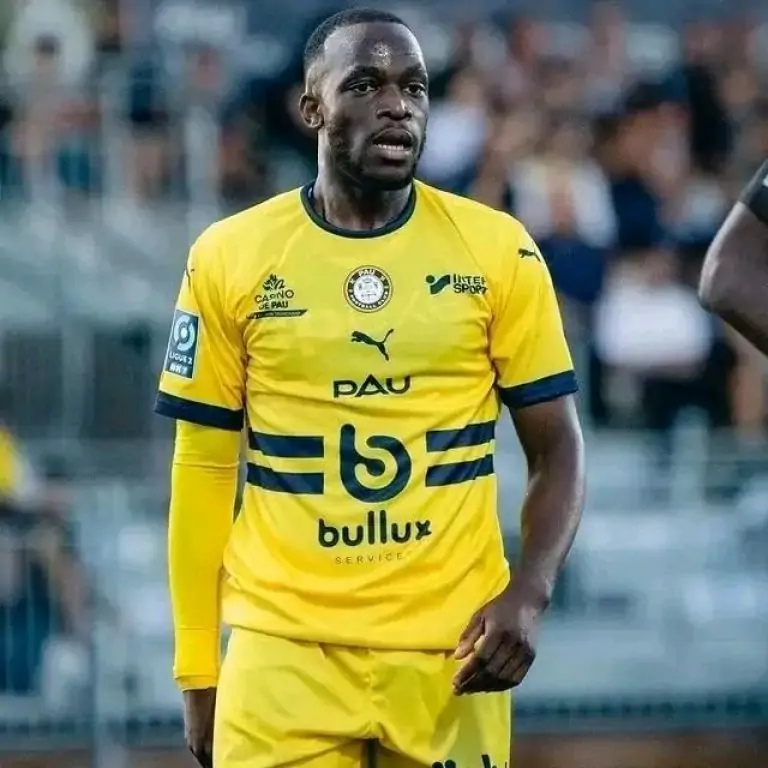 Mons Bassouamina's Late strike secures draw for Pau FC against Troyes