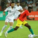USM Algiers denies Belaid’s transfer to Al Ahly as Belgian Club St-Truiden enters the fray