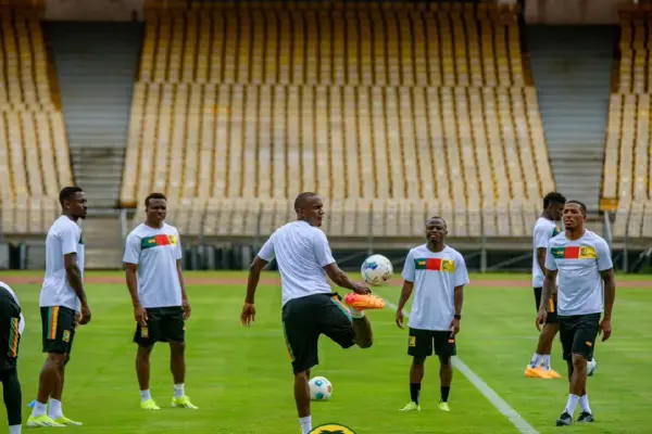 Cameroon in turmoil: Indomitable Lions and coach Marc Brys boycott FECAFOOT