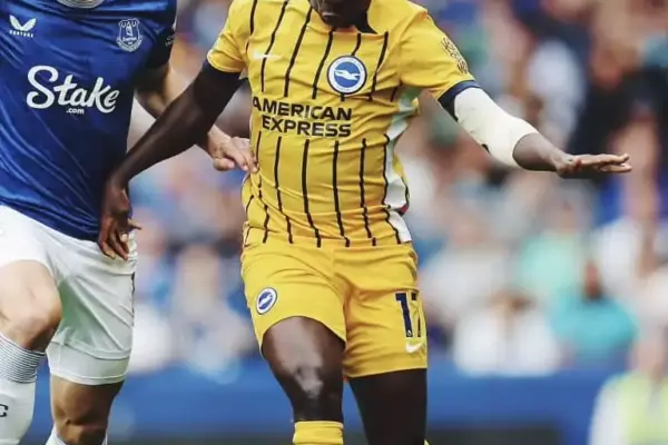 Yankuba Minteh's Premier League debut marred by injury