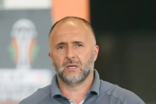 Personal commitments delay Djamel Belmadi’s return to coaching