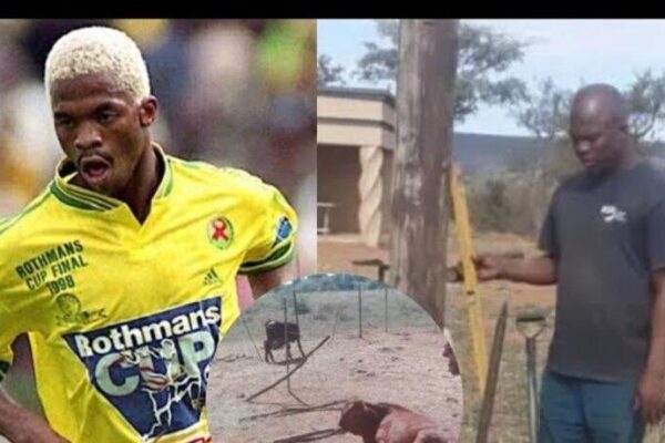 Shocker: Former South Africa defender Lovers Mohlala turns to mining and agriculture for survival