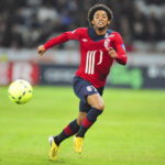 Use of Spray: France Gives Green Light on Its Pitches