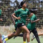 South African outfit Magesi FC announces departure of Owen Da Gama as head coach