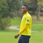Ivory Coast: Kalou Expresses Desire to Play as Lead Striker