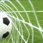 IVORY COAST : President Promises 100 Million FCFA and Villa to Each Elephant