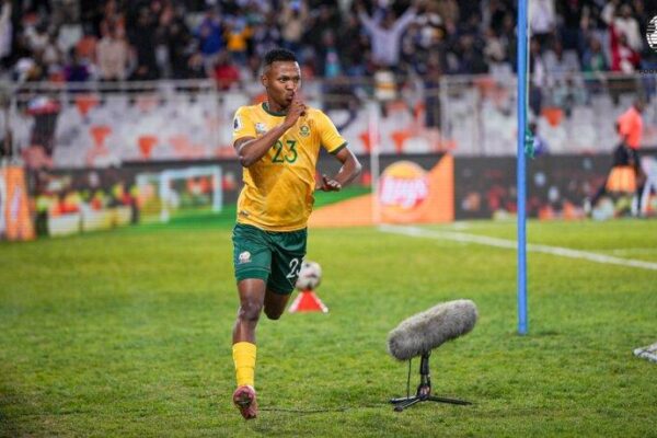 Brazil considering international friendly against South Africa in November