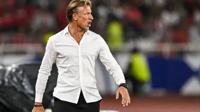 AFCON winning coach Hervé Renard dreams of a return to Africa
