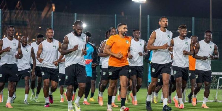 Ivory Coast to launch AFCON preparations with training camp in Marbella