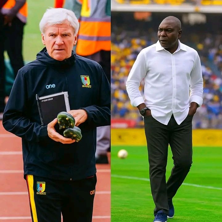  591975443 1493253666139575 8819651687312611915 n   Marc Brys paid AFCON bonus despite removal as Cameroon coach   AfricaSoccercom