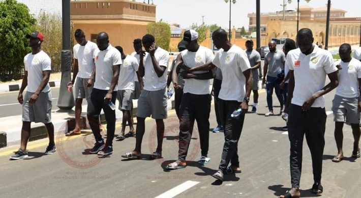  65690099 2323511761050963 1169054638721204224 n 710x389   AFCON 2019 Lions stroll past their clash against Algeria hours before the showdown   AfricaSoccercom