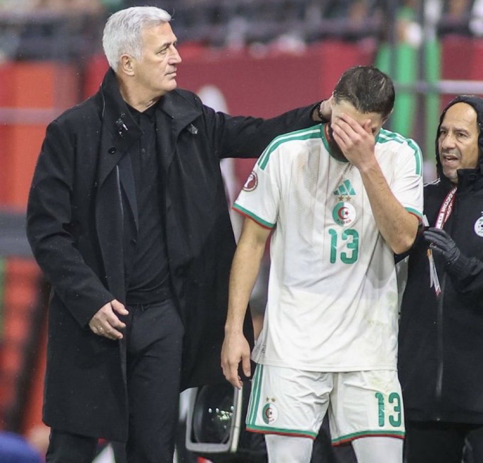  Jaouen Hadjam   Injury ends Jaouen Hadjams AFCON dream as Algeria send defender back to Young Boys   AfricaSoccercom