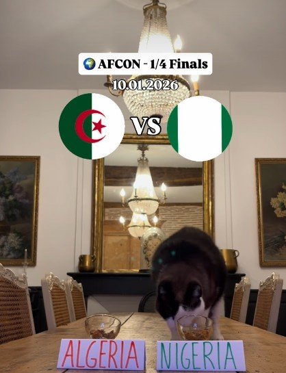 Screenshot 2026 01 10 105059 AfricaSoccercom Screenshot 2026 01 10 105059 AFCON 2025 Mystic cat steals spotlight with quarterfinal predictions VIDEO AfricaSoccercom