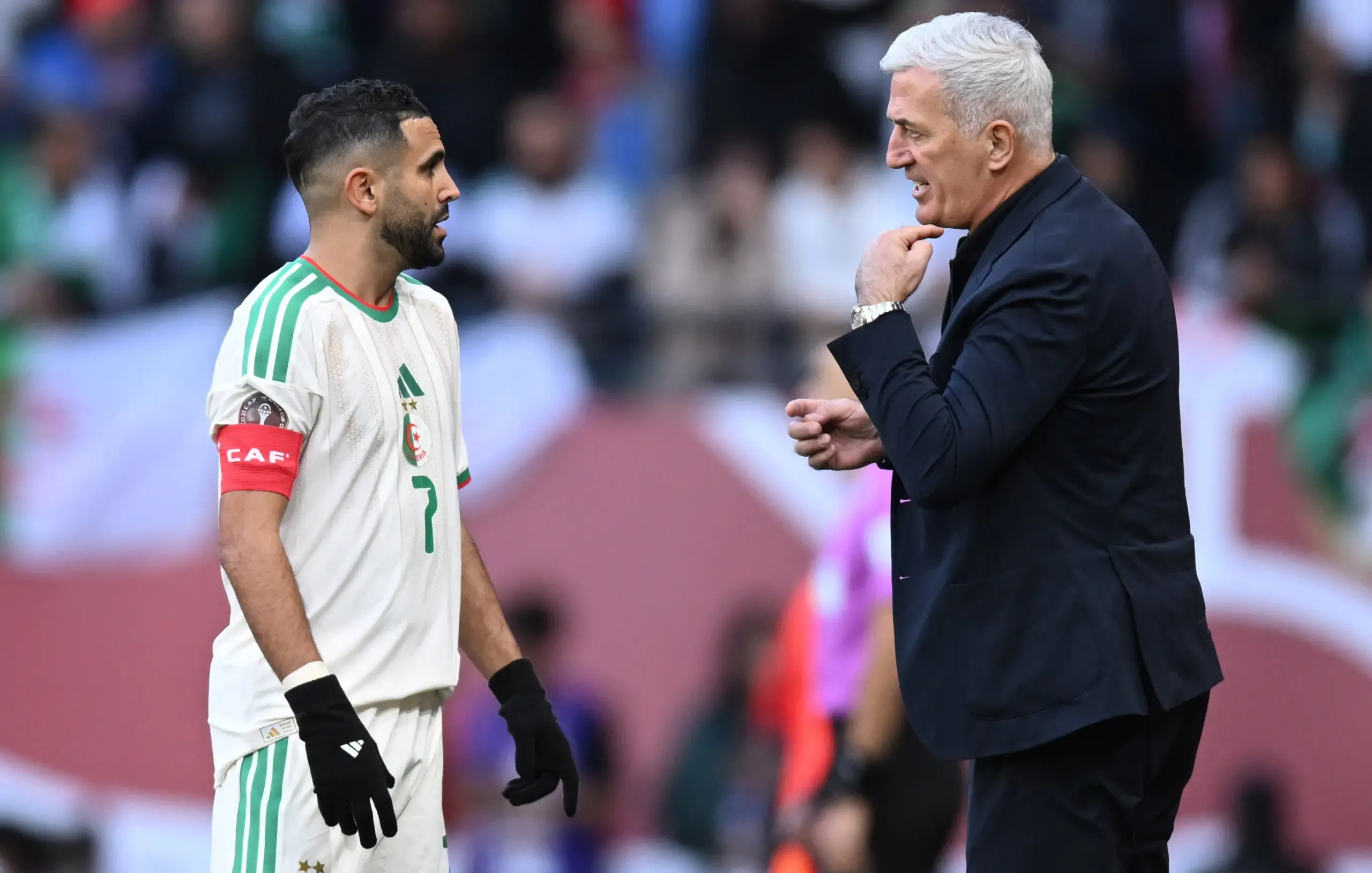     Algeria deny rumours of rift between captain Riyad Mahrez and coach Petkovic   AfricaSoccercom
