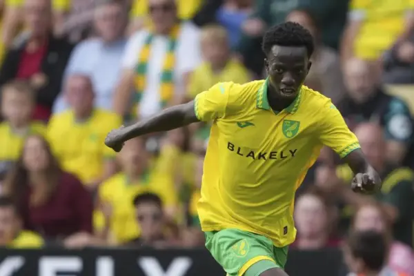 Senegal winger Papa Amadou Diallo faces lengthy lay-off after fresh injury setback