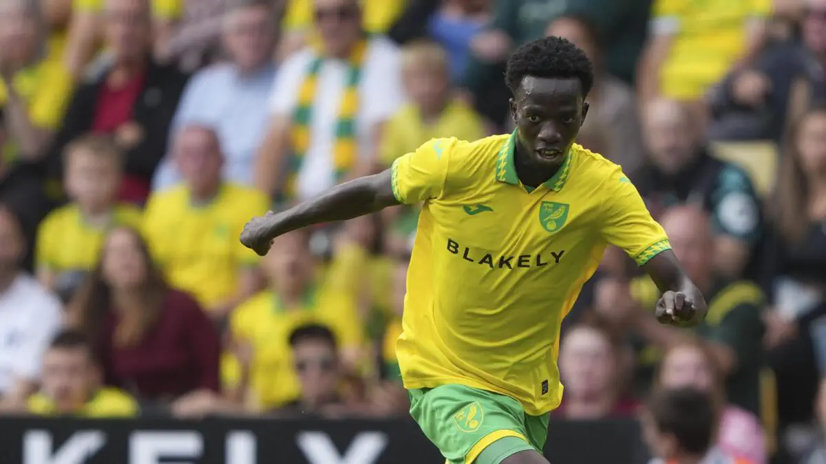 Senegal winger Papa Amadou Diallo faces lengthy lay-off after fresh injury setback