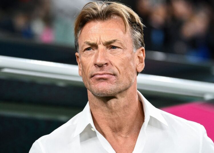  herve renard 750x536   I am proud of my contribution to Moroccan football  Hervé Renard   AfricaSoccercom