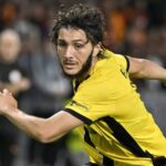 Jaouen Hadjam, Algeria, BSC Young Boys, Injury, Football