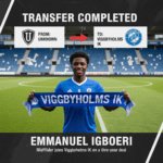 Emmanuel Igboeri: Nigerian centre-forward linked with move to Swedens Viggbyholms IK