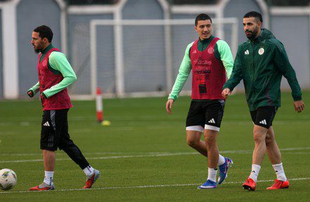 Algeria resume training ahead of friendly clash with Guatemala