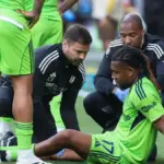 Alex Iwobi suffers injury