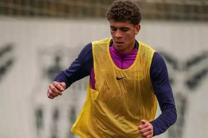 Hamza Abdel Karim recovers from injury