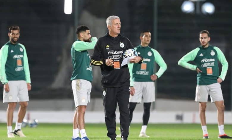 Vladimir Petkovic coaching Algeria national team