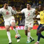 Chadi Riad has issued an apology to Moroccans after a costly social media mistake