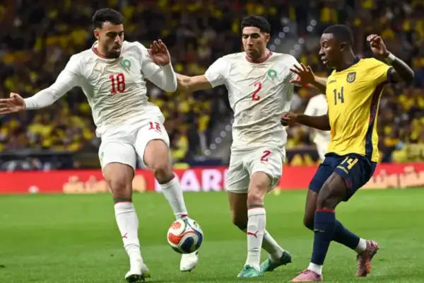 Chadi Riad has issued an apology to Moroccans after a costly social media mistake