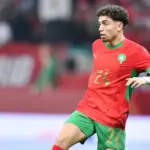 Neil El Aynaoui in action