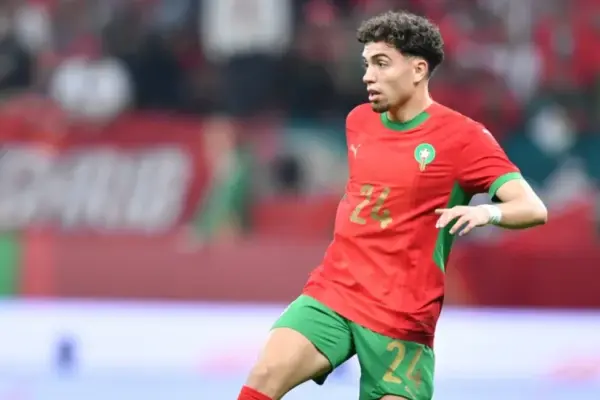 Neil El Aynaoui in action