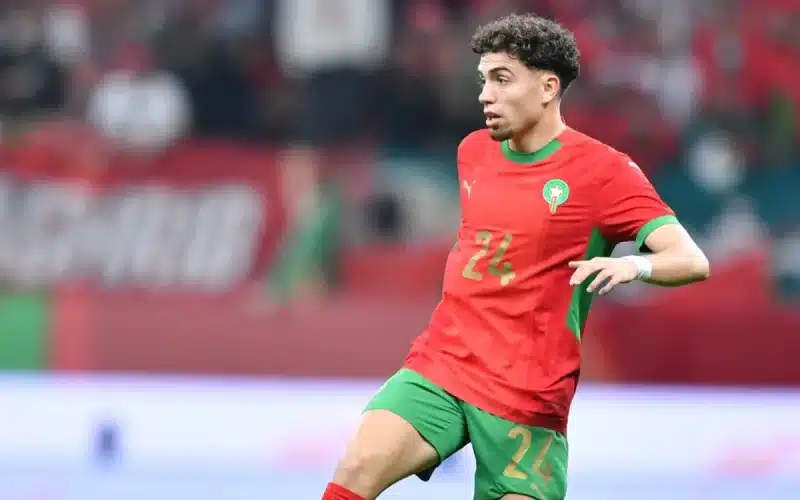 Neil El Aynaoui in action