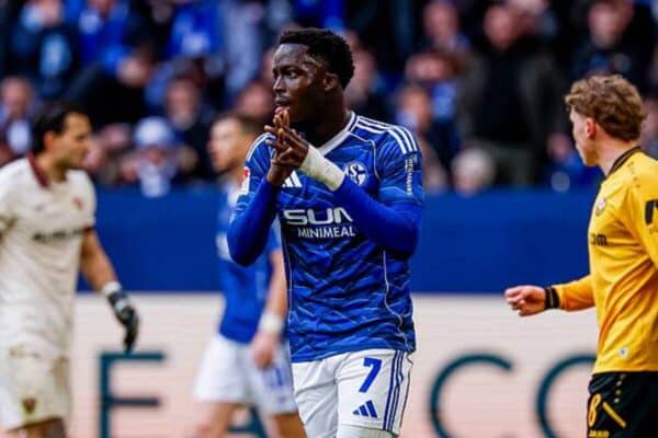 Austria Wien eyeing Schalke forward Christian Gomis
