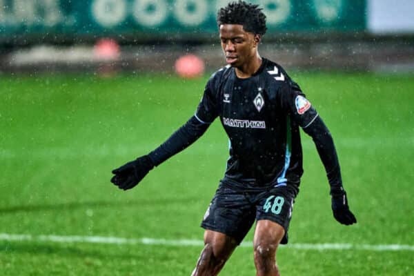 Werder Bremen weigh up next move for Wesley Adeh