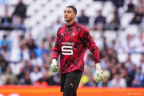 Algeria continue goalkeeper evaluations ahead of World Cup