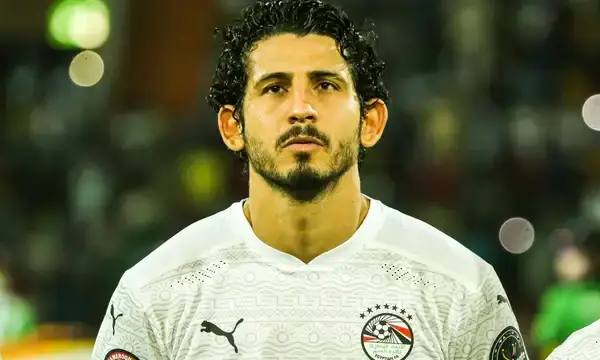 Ahmed Hegazi gets appointment after retirement